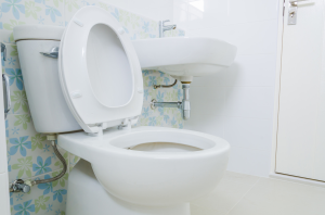Choose The Right Toilet