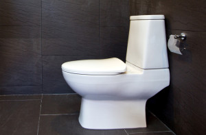 How To Install A Toilet