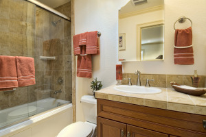 Sliding Tub Door