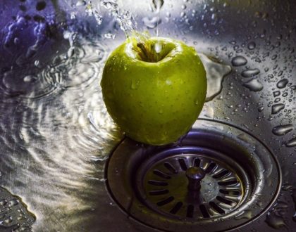 6 Best Ways for Getting Rid of Fruit Flies in Your Drain