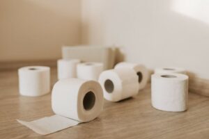 Which Toilet Paper Substitutes Will Clog Up My Toilet?