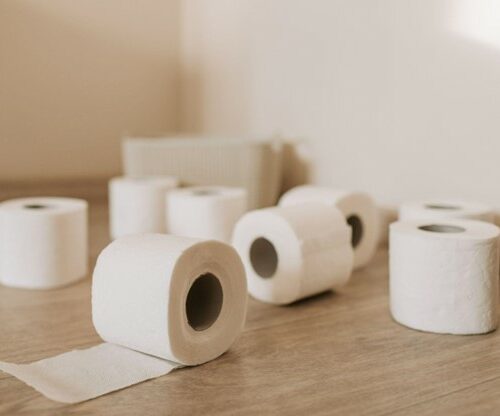 Which Toilet Paper Substitutes Will Clog Up My Toilet?