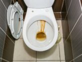 Preventing Rust Stains In Your Toilet Bowl