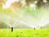 Summer Plumbing Efficiency: Water Fun Without Waste