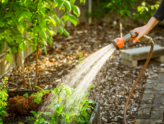 Someone is watering their beautiful garden with sustainable plumbing solutions.