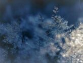 Snowflakes falling on a frozen leaf in winter.