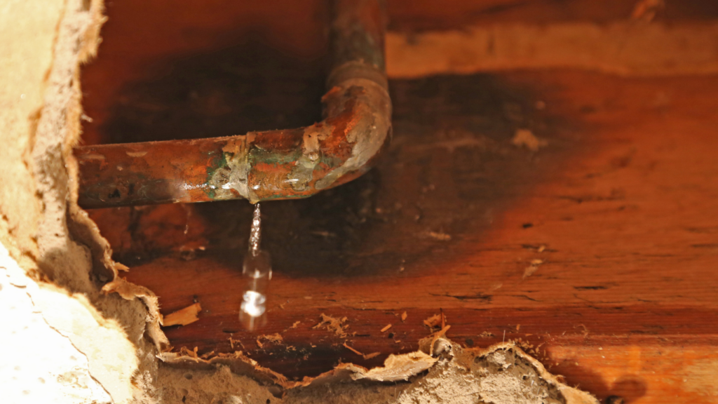 A leaking pipe in a basement ceiling has caused water damage to its surroundings.