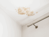 How to Spot Hidden Plumbing Leaks in Your Home